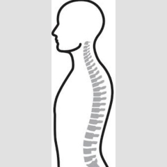 Village of Lakeview, Health and Wellness, CHIROPRACTIC